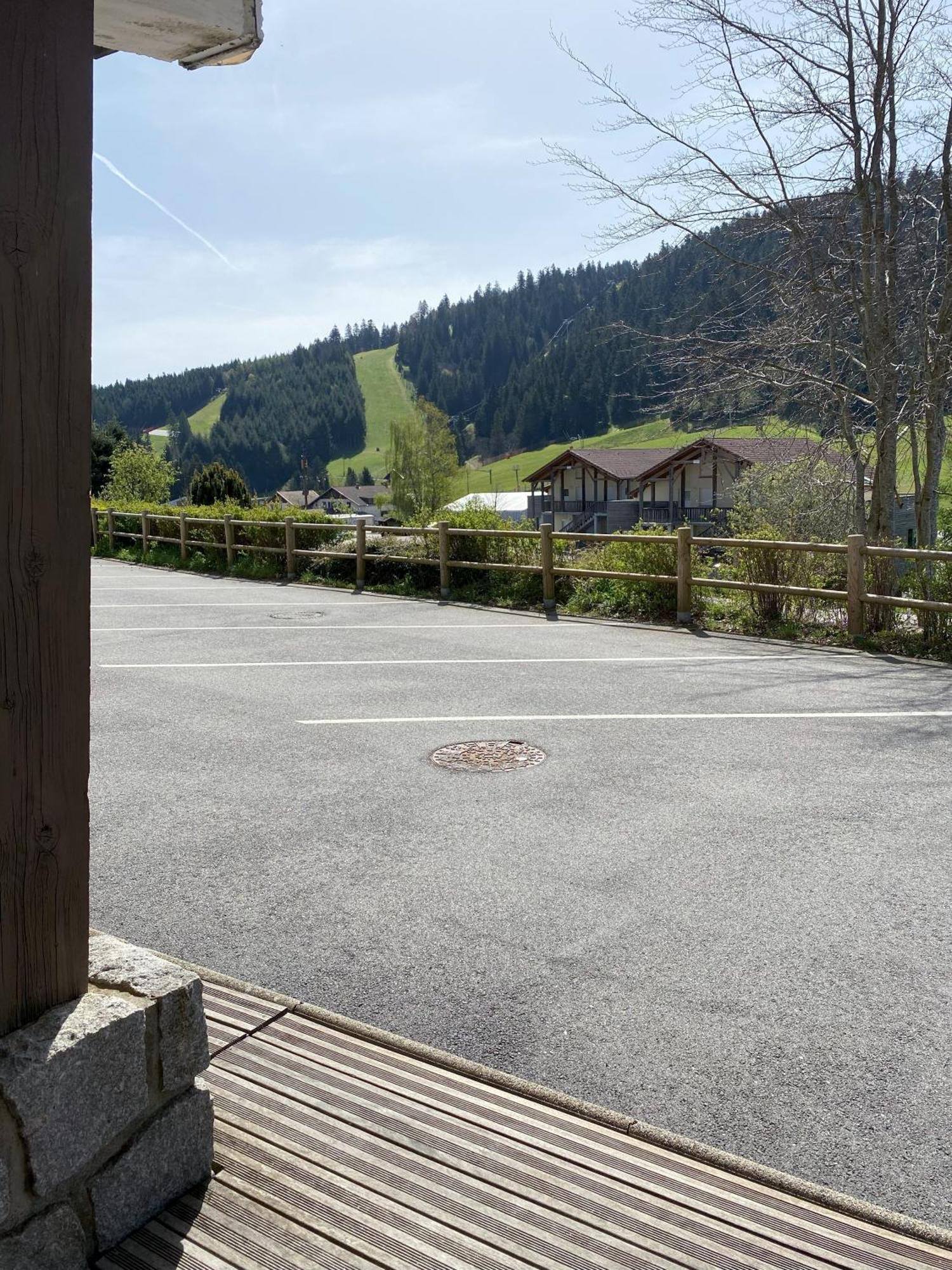 Aux Pieds Des Pistes 4/6 Personnes Lägenhet Gérardmer Exteriör bild